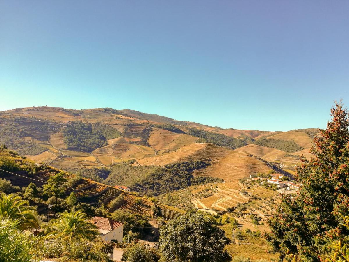 Casa Quinta Da Nogueira Villa Pinhão Esterno foto