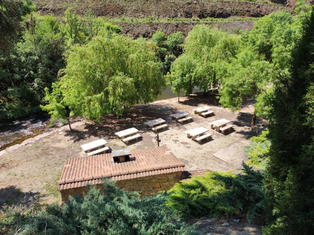 Casa Quinta Da Nogueira Villa Pinhão Esterno foto